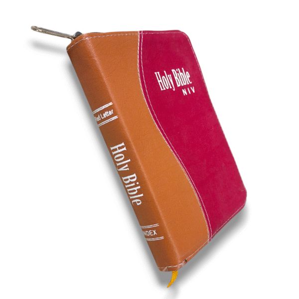 NIV ENGLISH BIBLE D7
