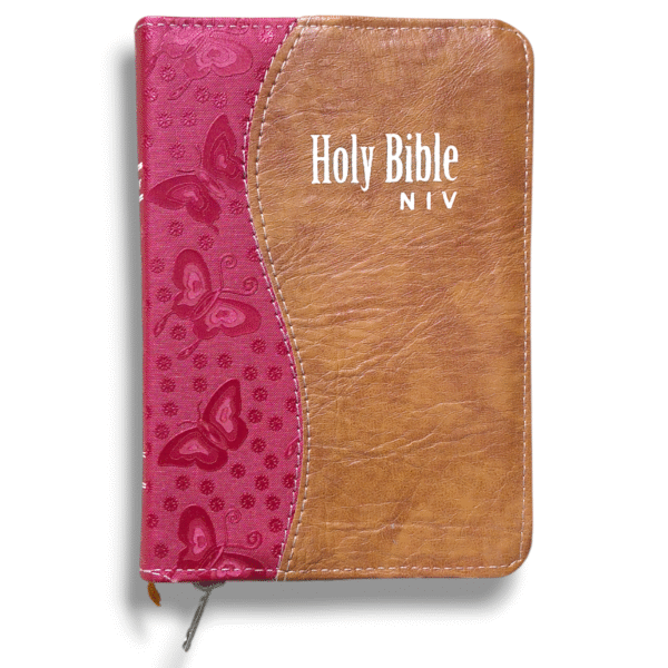 NIV Brown & Red