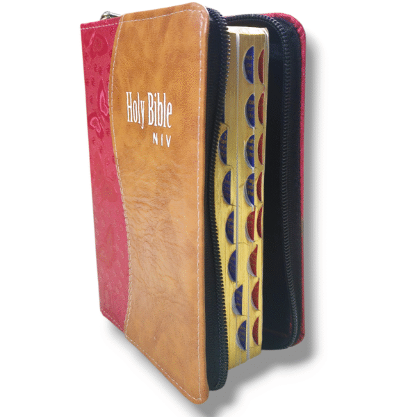 NIV Brown & Red