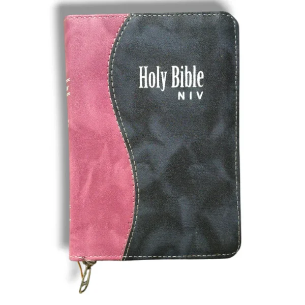 NIV Compact Edition Bible |