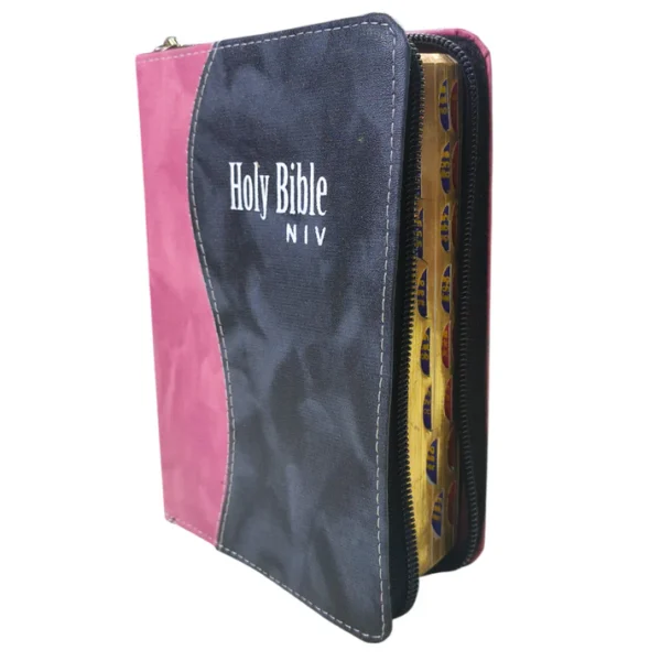 NIV Compact Edition Bible |
