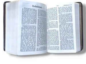 KJV Large Print Bible