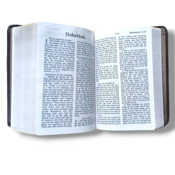KJV Large Print Bible