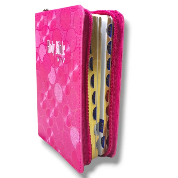 NIV Compact Edition