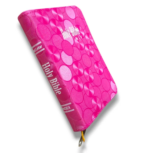 NIV Compact Edition