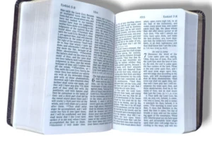 KJV Large Print Bible