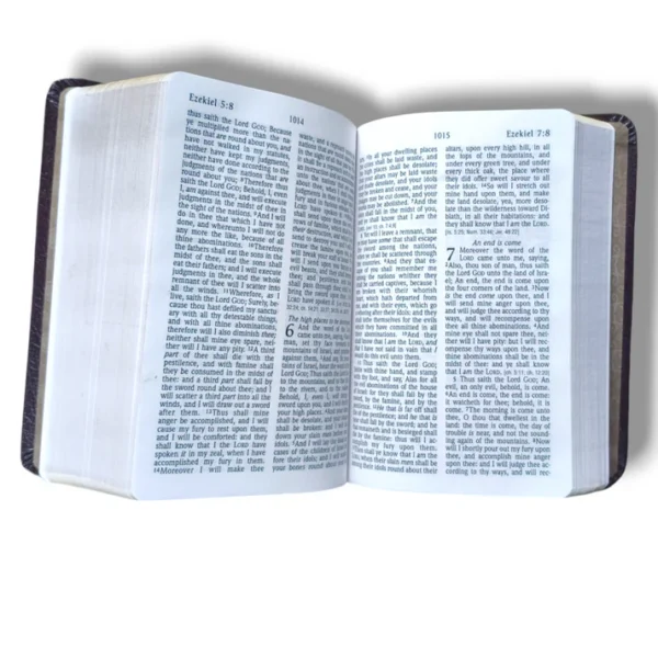 KJV Large Print Bible