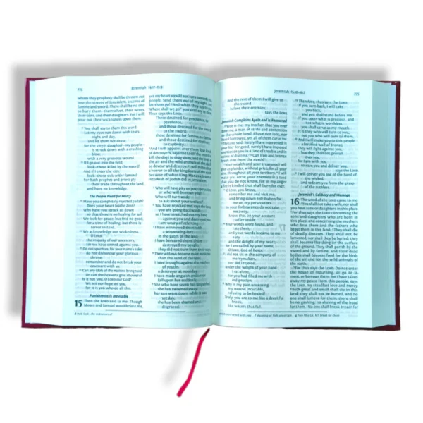 NRSV Bible