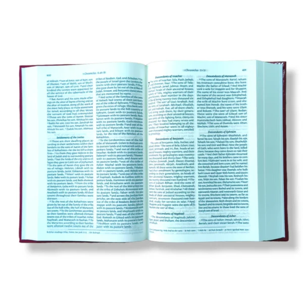 NRSV Bible