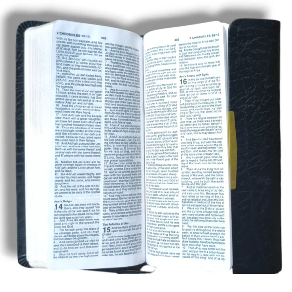 KJV Check Book Bible