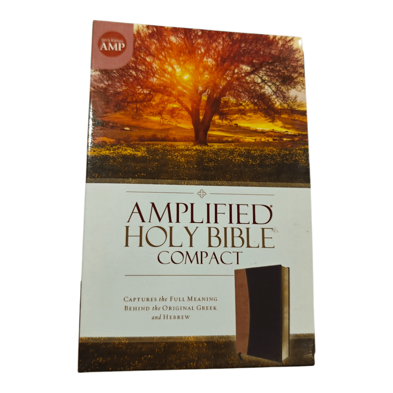 Amplified holy bible