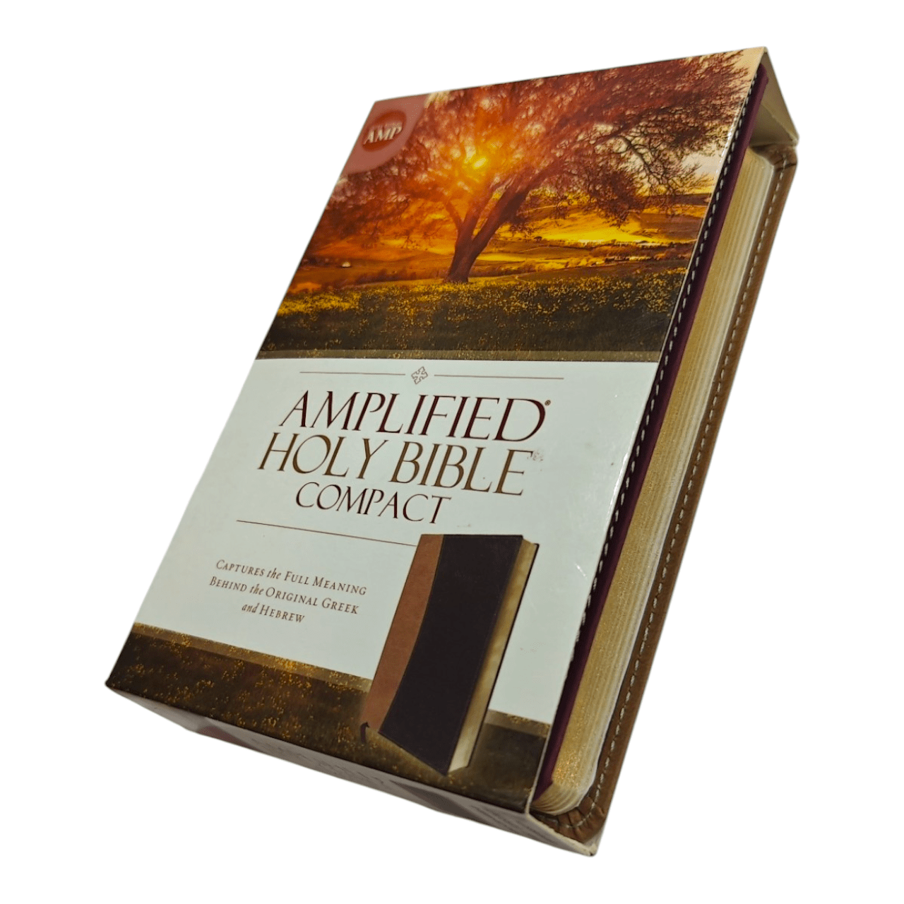 Compact, hardcamplified holy bible