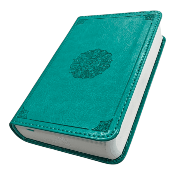 Esv pocket bible trutone (5)