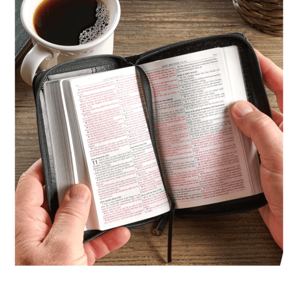 Kjv pocket bible (7)