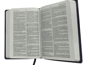 King james version 56i6