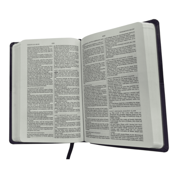 King james version 56i6