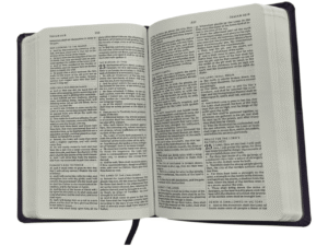 King james version 798