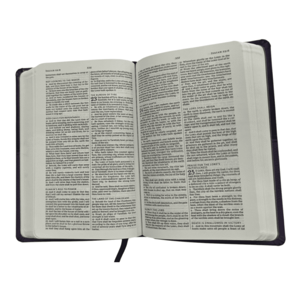 King james version 798