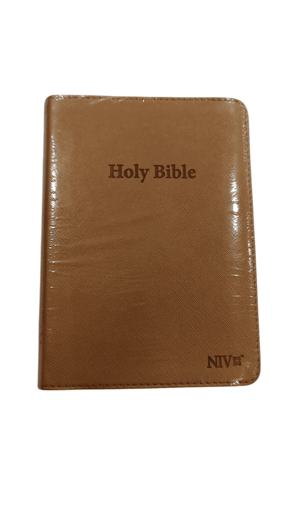 Niv holy bible