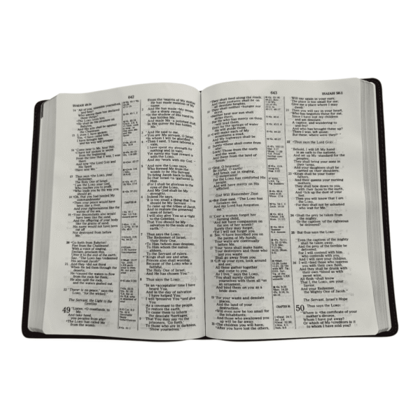 Nkjv large print ultrathin (4)