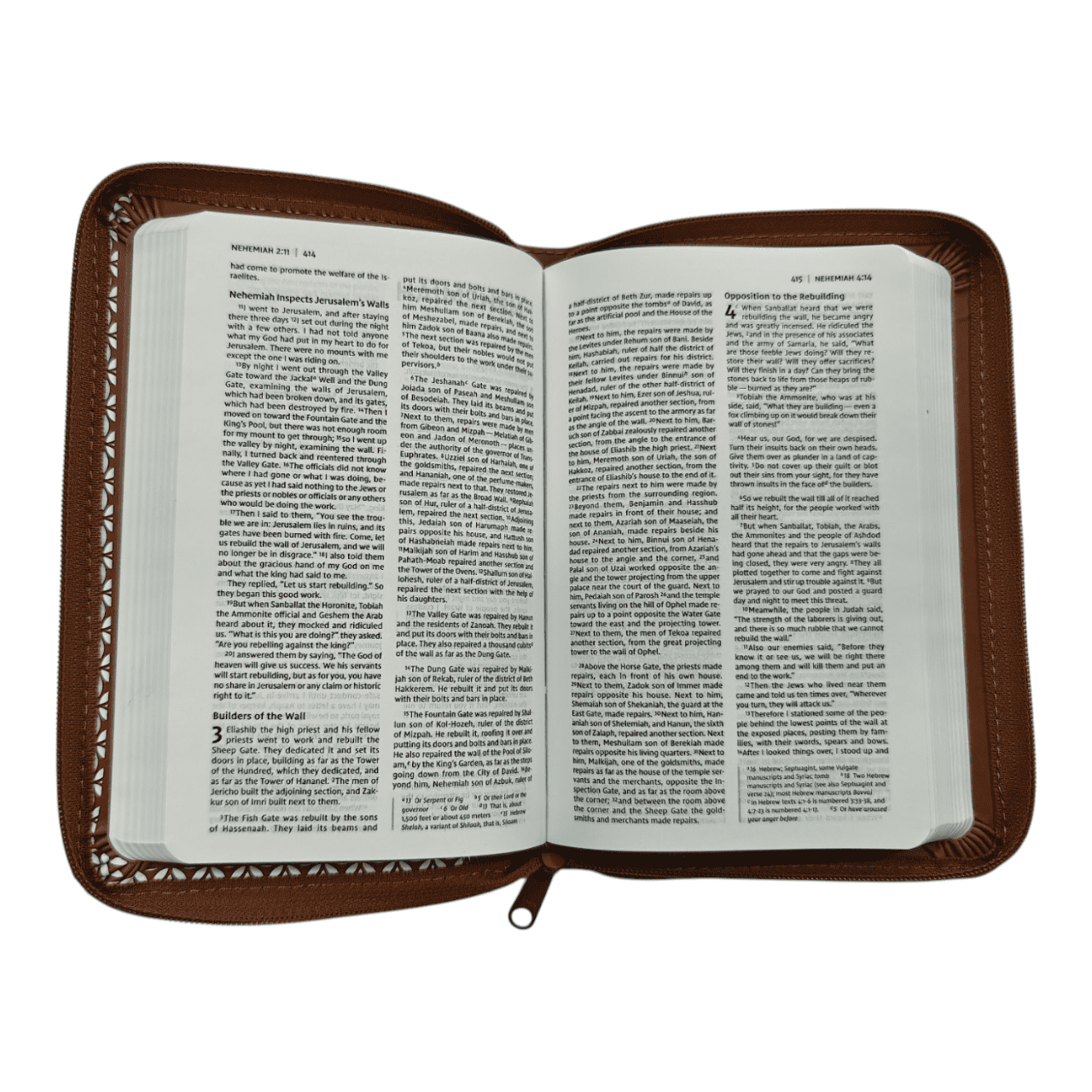 Red letter edition 8755976