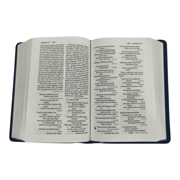 Reference system 9966