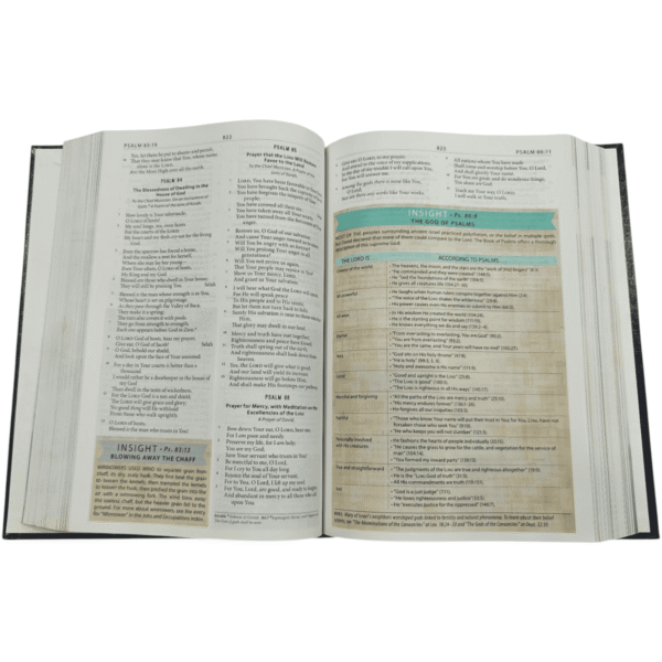 The modern life study bible (8)