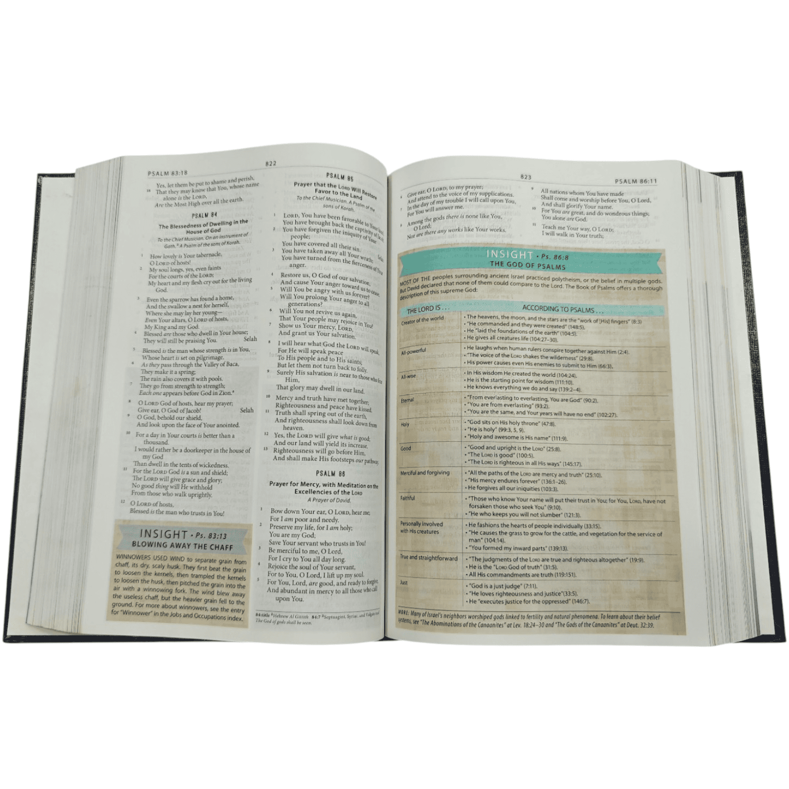 The modern life study bible (8)