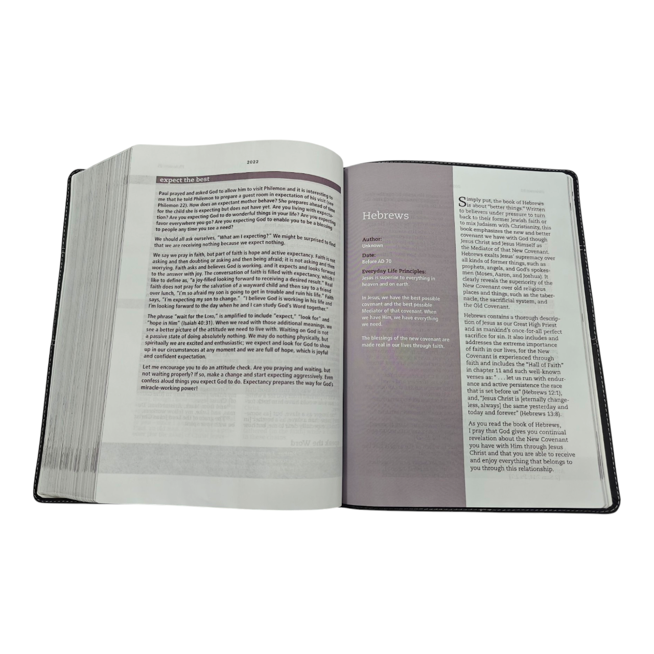 Amplifed bible 702 (11)