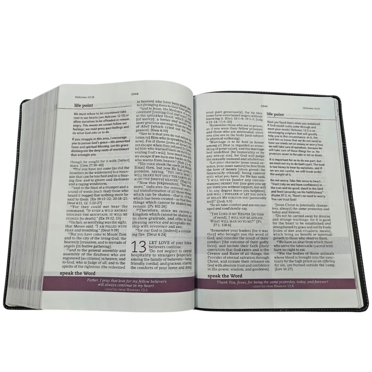 Amplifed bible 702 (12)