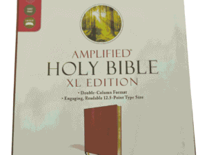 Amplified holy bible