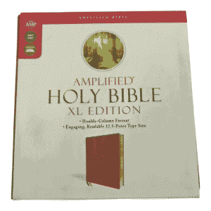 Amplified holy bible