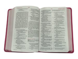 Esv kids bible (10)