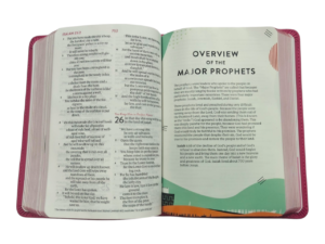 Esv kids bible (9)