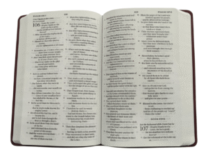Esv large print value
