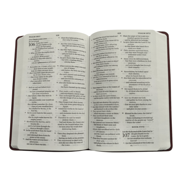 Esv large print value