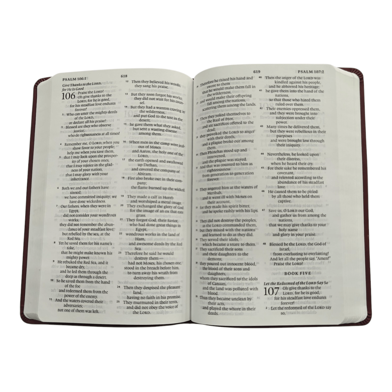Esv large print value