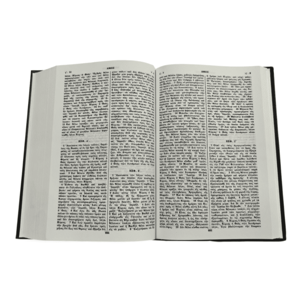 Greek bible bambas edition (foreign languages) (greek edition) (6)