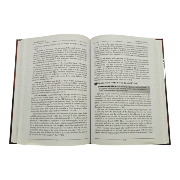 Holman new testament 99 (4)