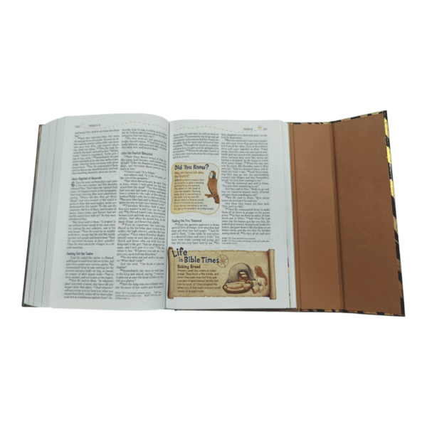 Kjv adventure bible (7)