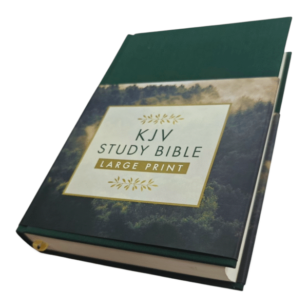 Kjv bible 963 (1)