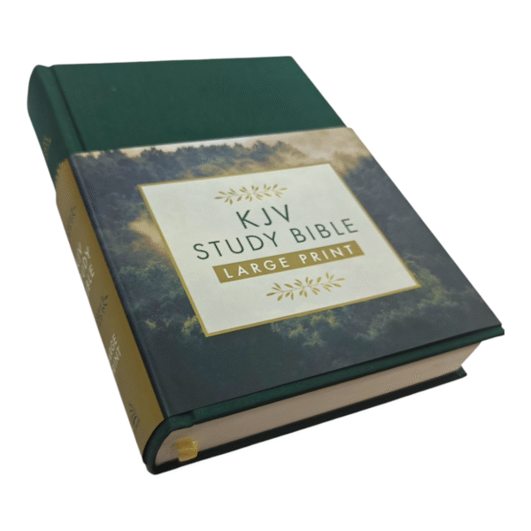Kjv bible 963 (2)