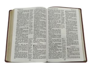 Kjv giant print centre column