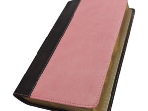 Kjv giant priny se (3)