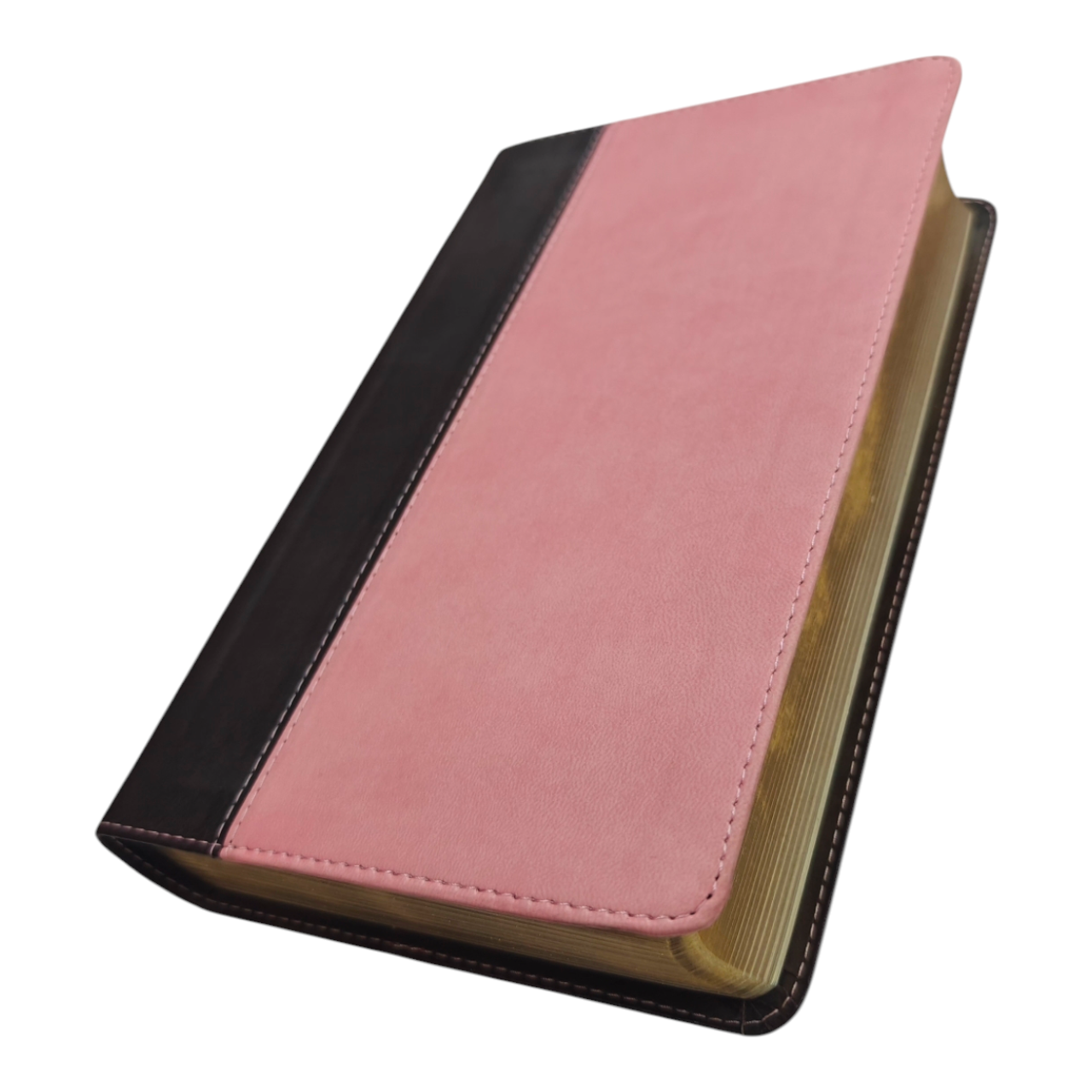 Kjv giant priny se (3)