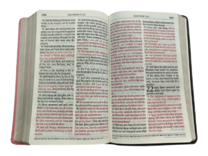Kjv giant priny se (5)