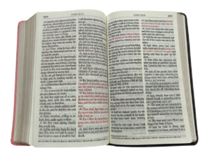 Kjv giant priny se (7)