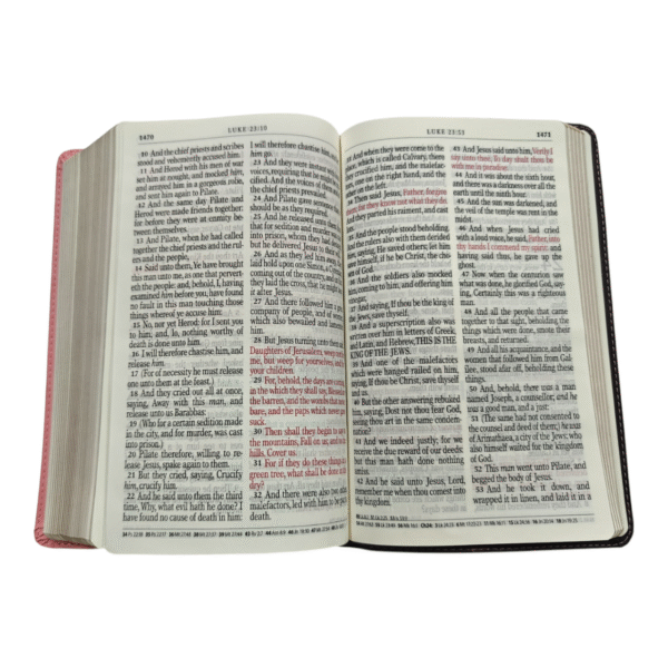 Kjv giant priny se (7)
