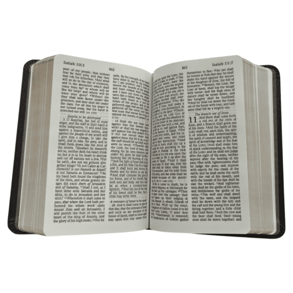 Kjv large print compact refernce bible (6)