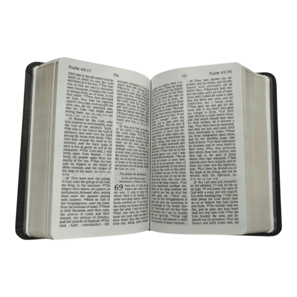 Kjv large print compact refernce bible (7)